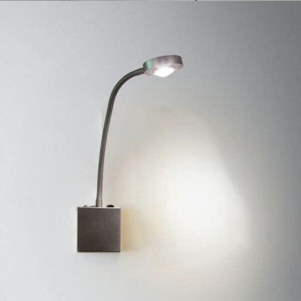 baytonia_main product photo