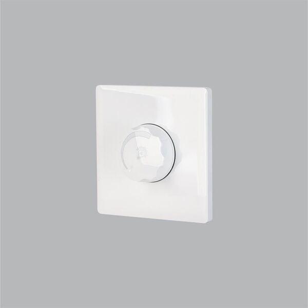 baytonia_main product photo