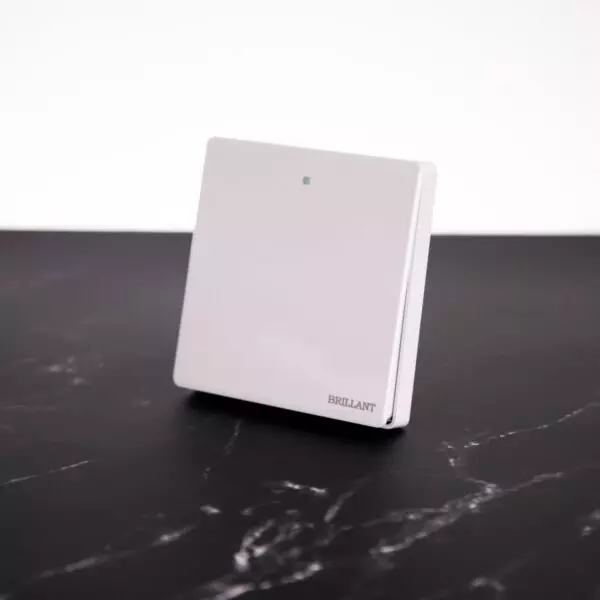 baytonia_gallery_image