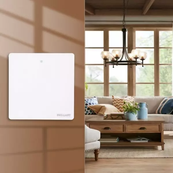 baytonia_gallery_image