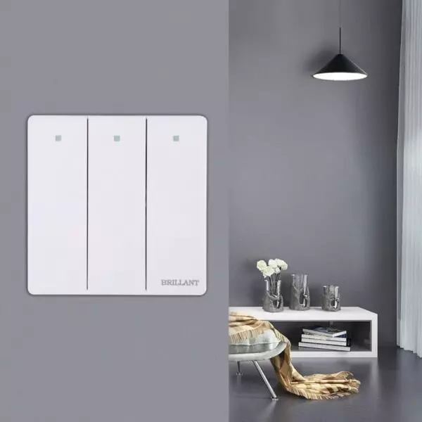 baytonia_gallery_image