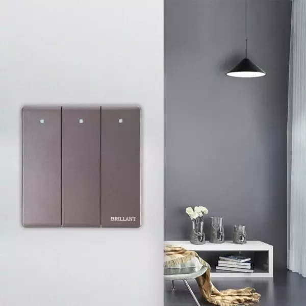 baytonia_gallery_image