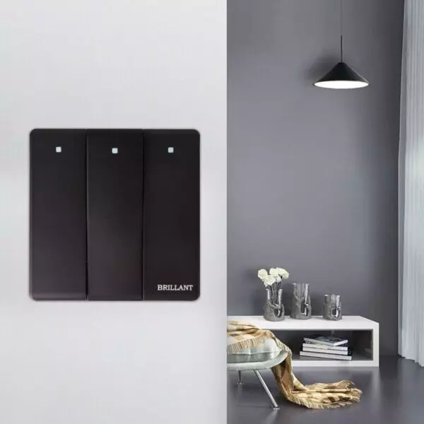 baytonia_gallery_image