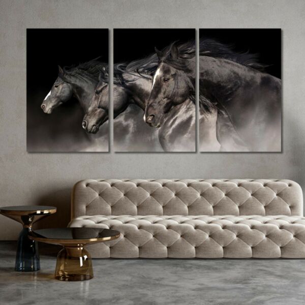 baytonia_main product photo