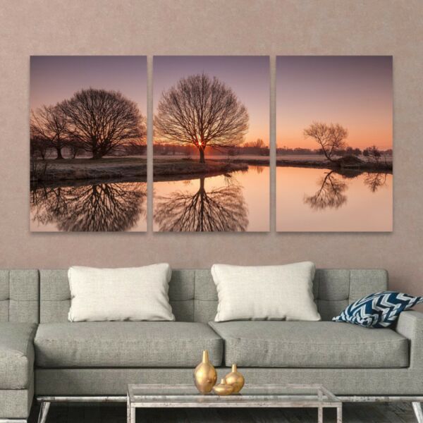 baytonia_main product photo
