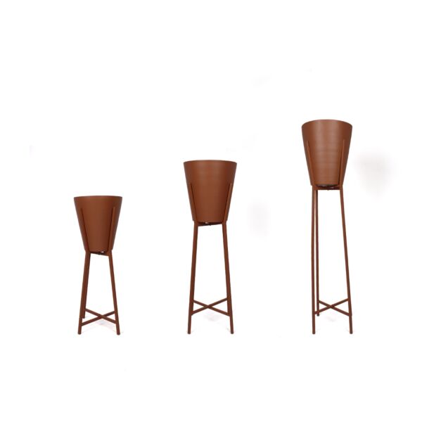 baytonia_main product photo