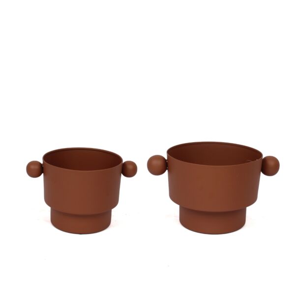 baytonia_main product photo