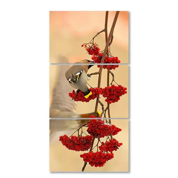 baytonia_gallery_image