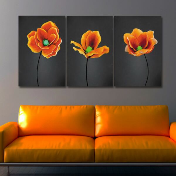 baytonia_main product photo