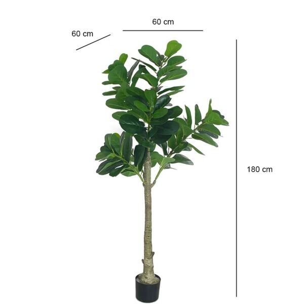 baytonia_gallery_image