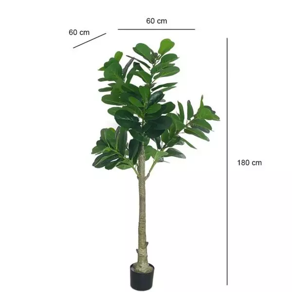 baytonia_gallery_image