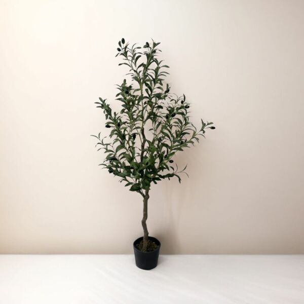 baytonia_main product photo