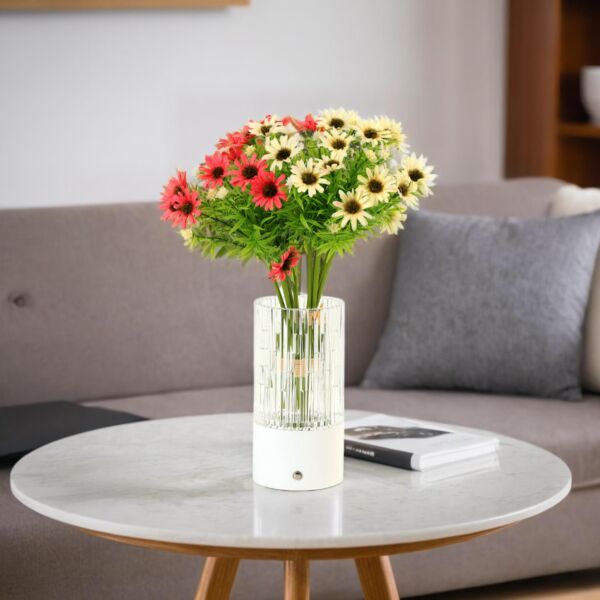 baytonia_main product photo