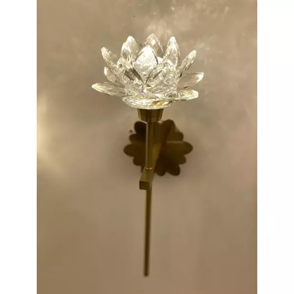 baytonia_gallery_image