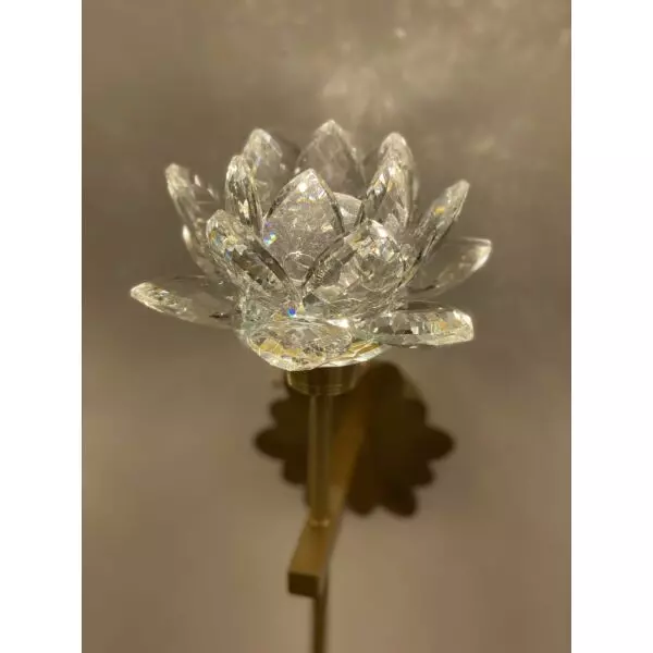 baytonia_gallery_image