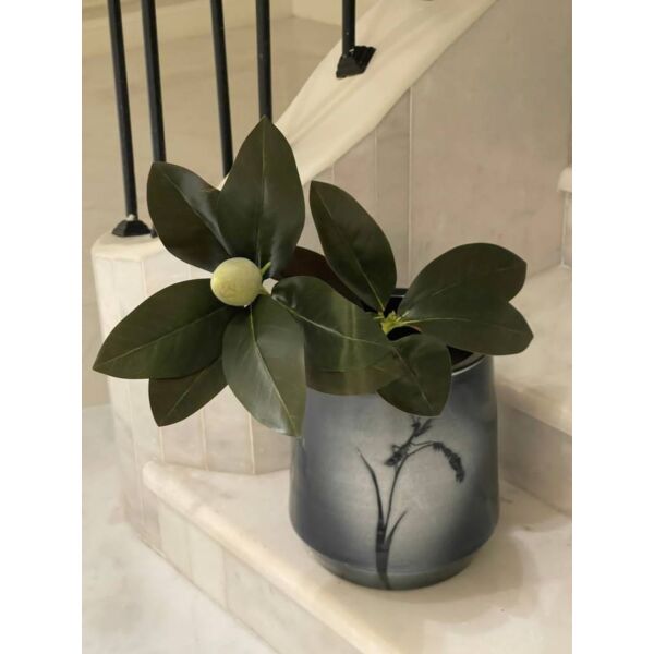 baytonia_main product photo