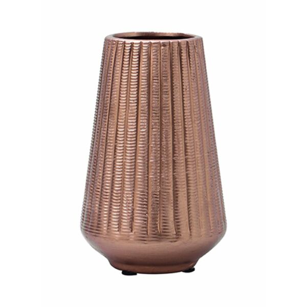 baytonia_main product photo