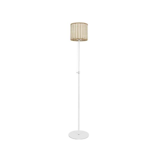 baytonia_main product photo