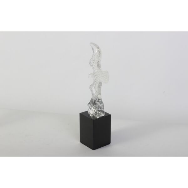 baytonia_main product photo
