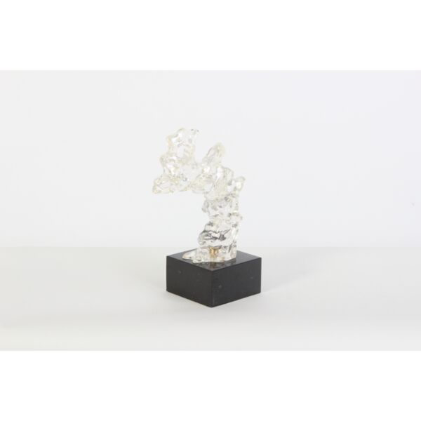 baytonia_main product photo