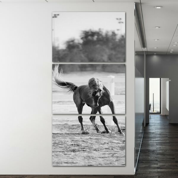 baytonia_main product photo