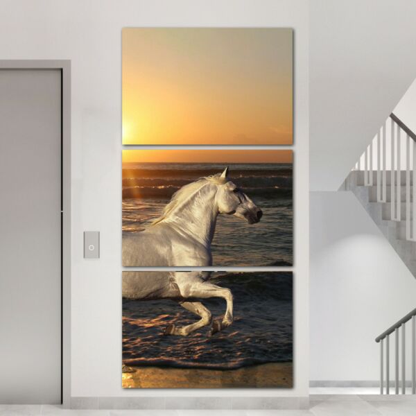 baytonia_main product photo