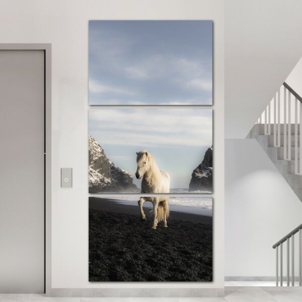 baytonia_main product photo