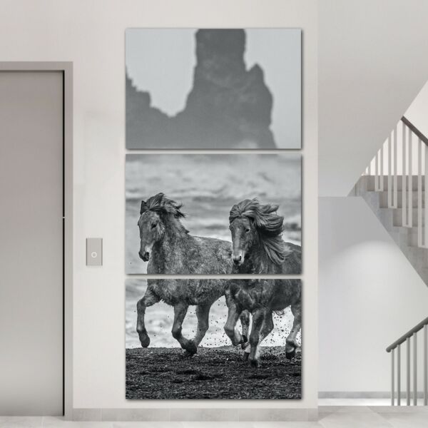 baytonia_main product photo