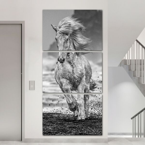 baytonia_main product photo