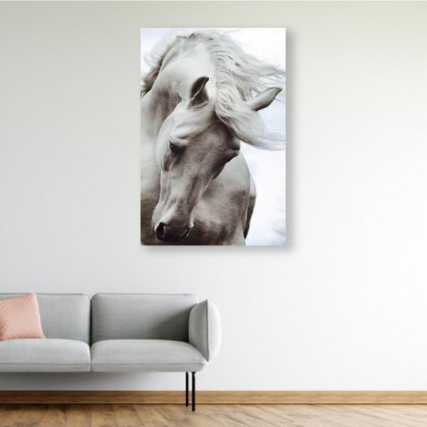 baytonia_main product photo