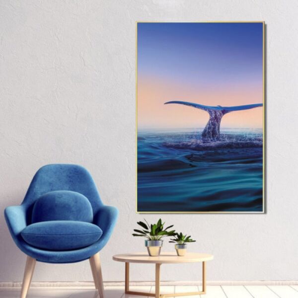 baytonia_main product photo