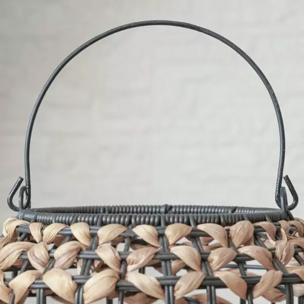 baytonia_gallery_image