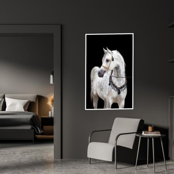 baytonia_main product photo