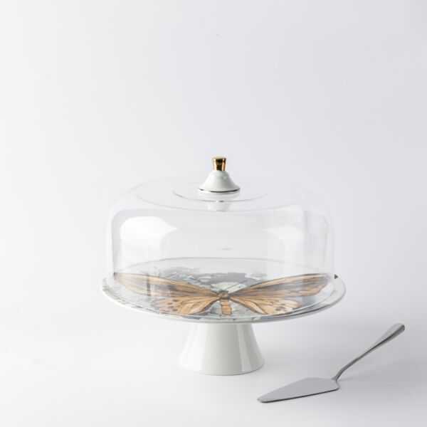 baytonia_main product photo