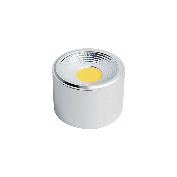 baytonia_main product photo