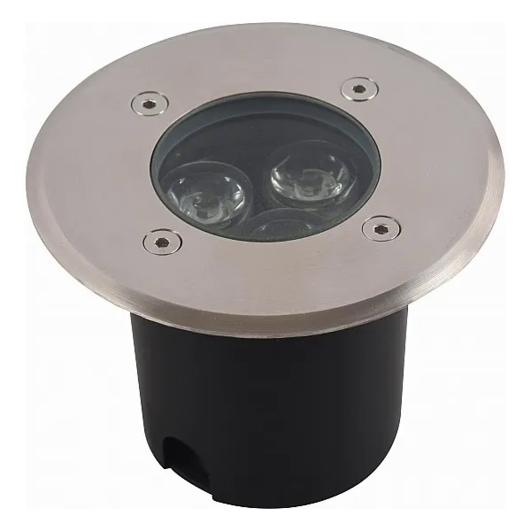 baytonia_main product photo
