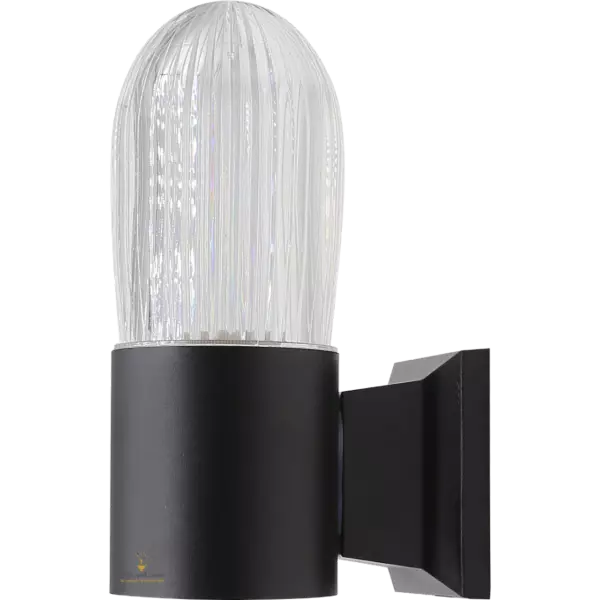 baytonia_gallery_image