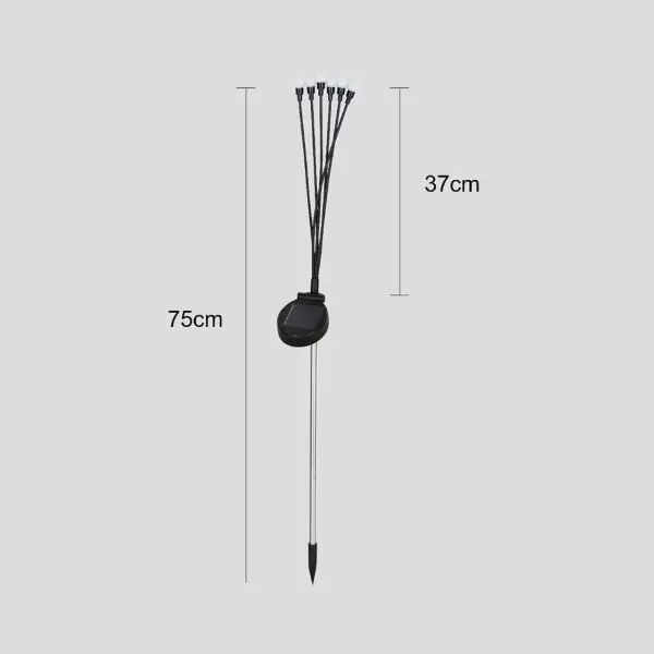 baytonia_gallery_image