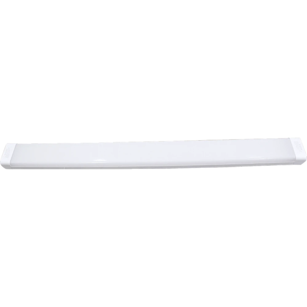 baytonia_main product photo