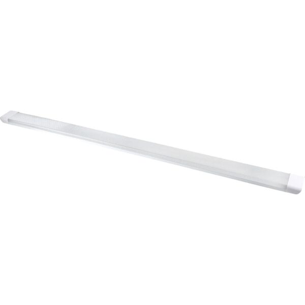 baytonia_main product photo