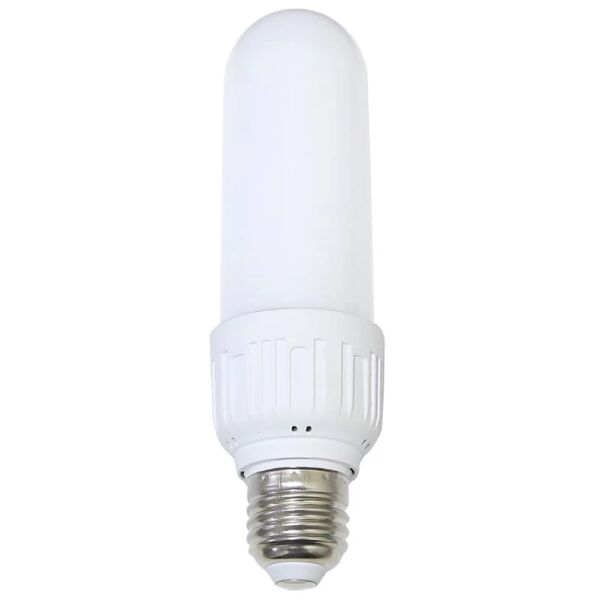 baytonia_main product photo