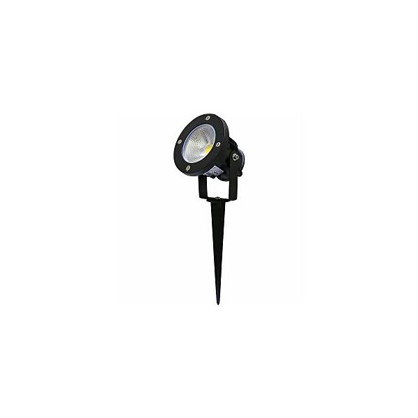 baytonia_main product photo