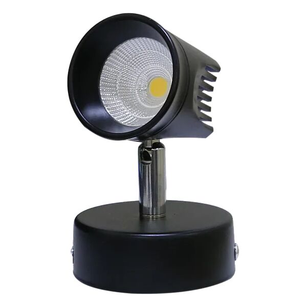 baytonia_main product photo