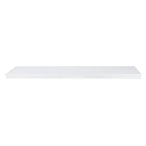 baytonia_main product photo