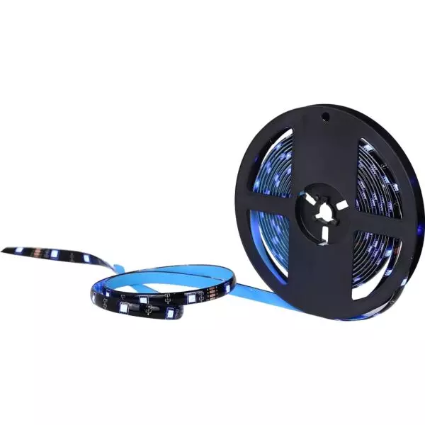 baytonia_gallery_image