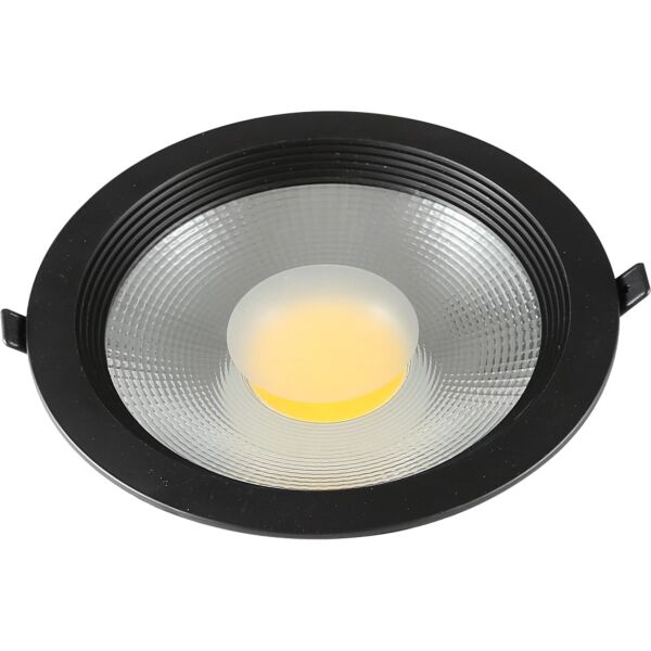 baytonia_main product photo