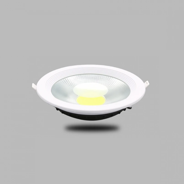 baytonia_main product photo