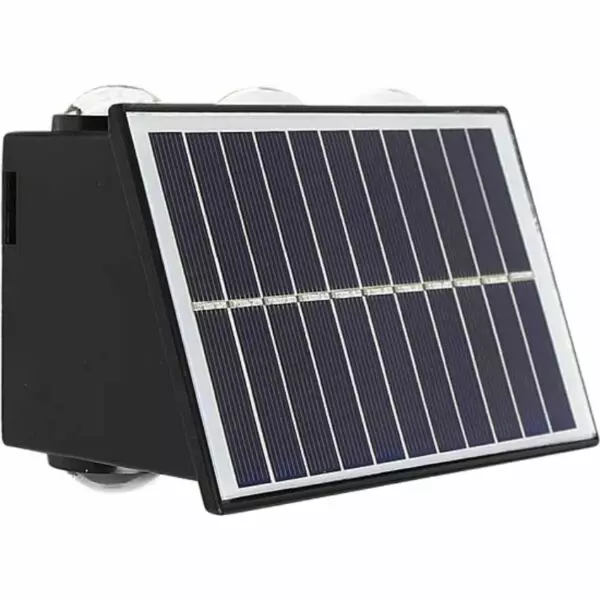 baytonia_gallery_image