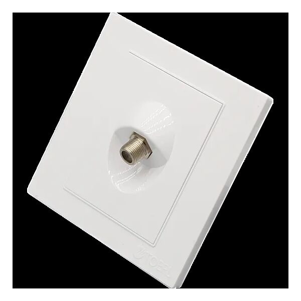 baytonia_main product photo