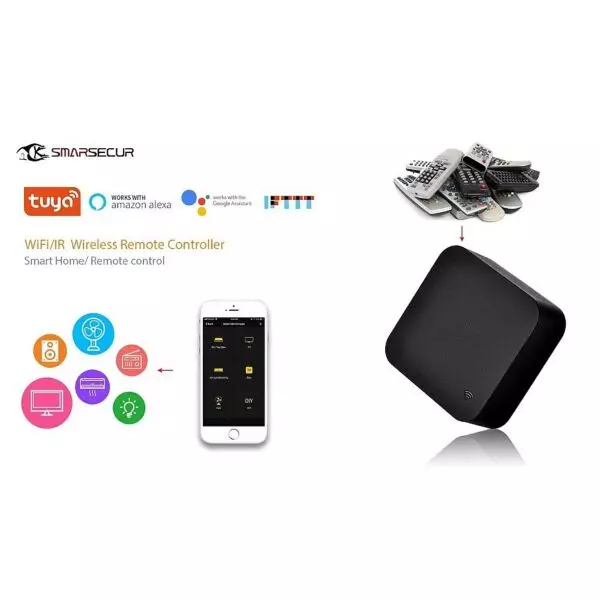 baytonia_gallery_image